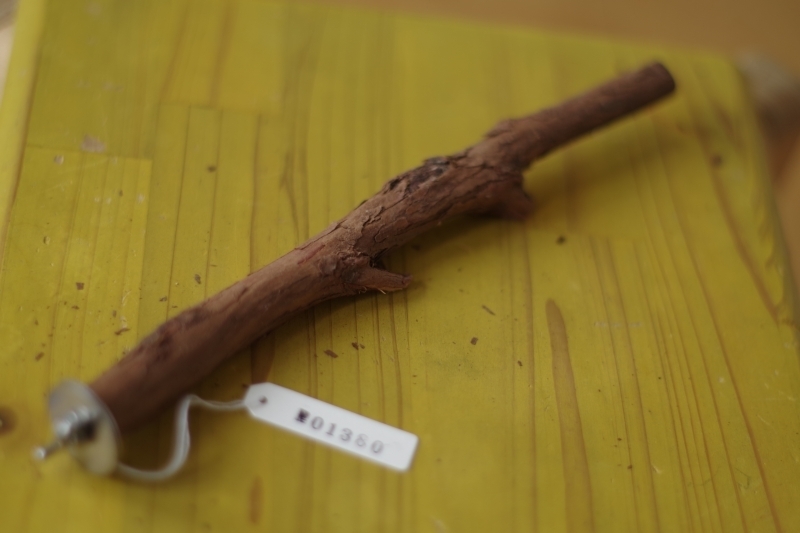 #1380 国産自然木の止まり木(ヒノキ22cm) 文鳥、セキセイインコなどに