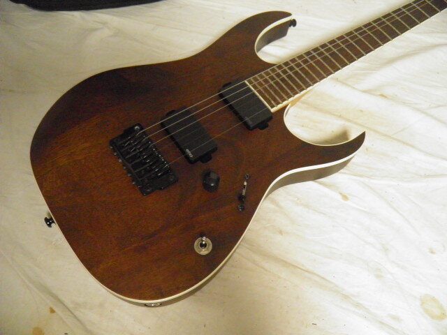 Ibanez アイバニーズ IRON LABEL RGIR20BFE EMG エレキギター 