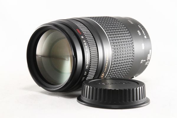 ★極上品★キャノン Canon EF 75-300mm F4-5.6 USM III★綺麗な外観 希少★105480