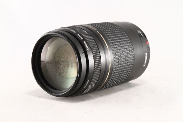 ★特上品★キャノン Canon EF 75-300mm F4-5.6 USM II★綺麗な外観 希少★105440
