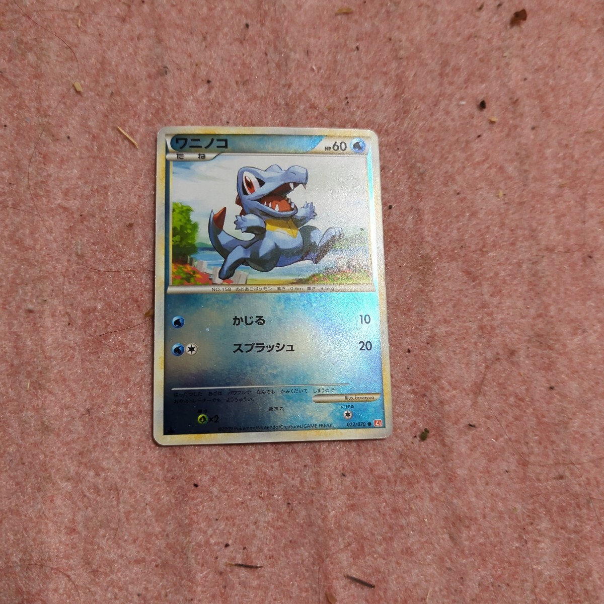 ポケモンカードワニノコ
