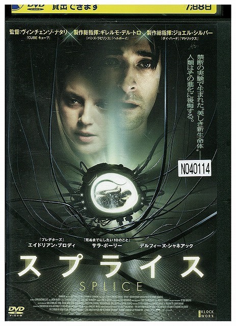 DVD スプライス レンタル落ち WWW02441