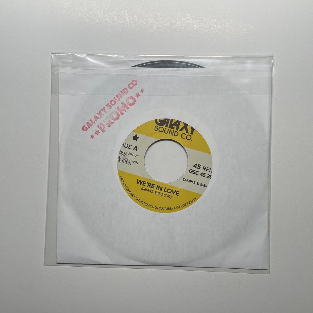 新品 Reuben Wilson / Nas Memory Lane 元ネタ / Donny Hathaway / Raregroove DJ Premier Gang Starr Illmatic