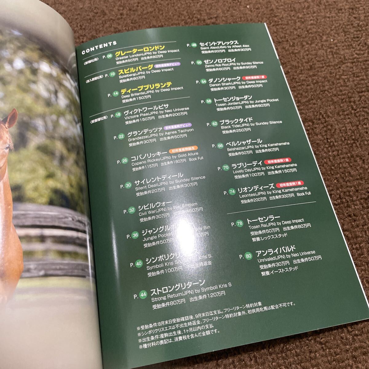 {$data['title']拍卖