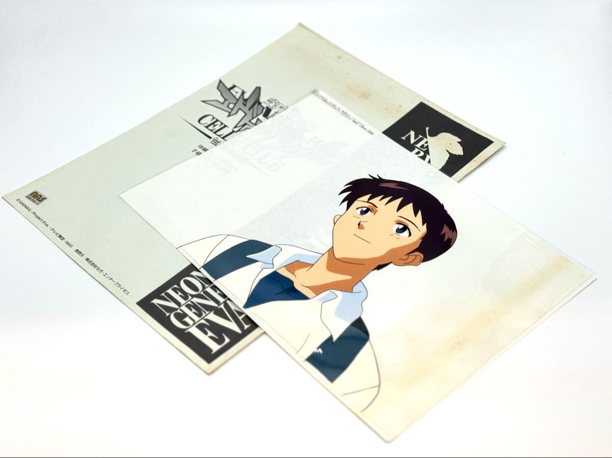 開封済■新世紀エヴァンゲリオン セル倶楽部 碇シンジ 手描きセル アーケードゲーム用景品 GAINAX■兵庫県姫路市から r 25-4690