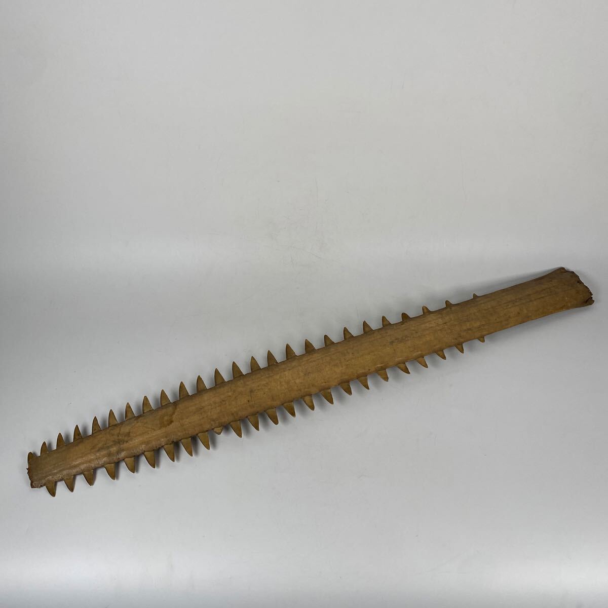 ノコギリエイ　ノコギリザメ　鮫　歯　標本　骨　鋸　ソーフィッシュ　吻　角　剥製　希少品　全長87.5cm 重量747g【111】