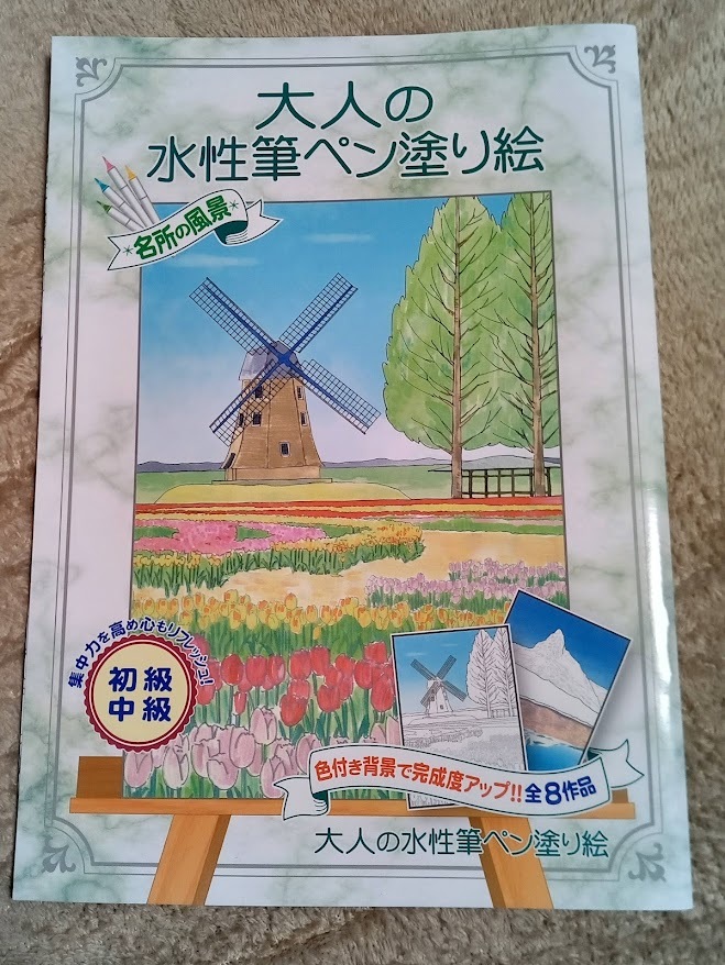 送料無料♪★最後の1点です！★ 大人のぬりえ【大人の水性筆ペン塗り絵】風景 絶景 城 山 ぬり絵 塗り絵 初心者に 認知症予防 脳トレ