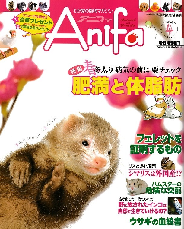 【アニファ】2004年04月号/肥満と体脂肪、冬太り病気の前に要チェック/Anifa/小動物/うさぎ/ハムスター/フェレット