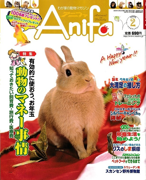 【アニファ】2005年02月号/動物のマネー事情、飼育費旅行費医療費/Anifa/小動物/うさぎ/ハムスター/フェレット