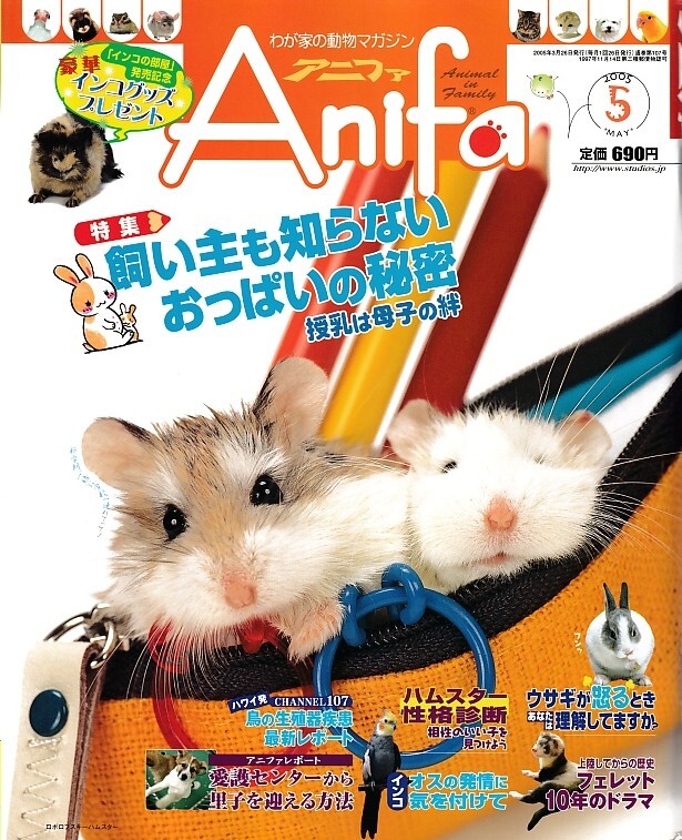 【アニファ】2005年05月号/飼い主も知らないおっぱいの秘密、授乳は母子の絆/Anifa/小動物/うさぎ/ハムスター/フェレット