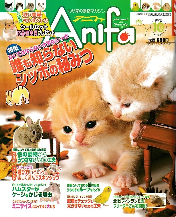 【アニファ】2006年10月号/誰も知らないシッポの秘密/Anifa/小動物/うさぎ/ハムスター/フェレット