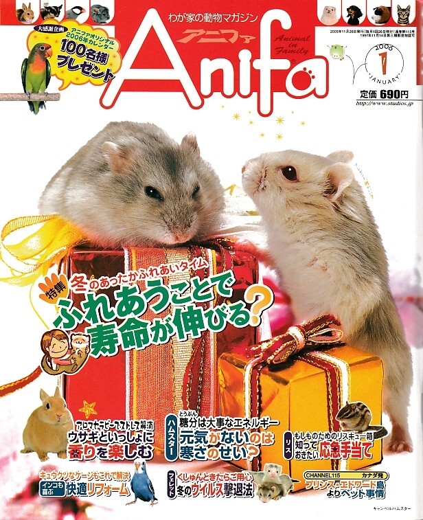 【アニファ】2006年01月号/触れ合うことで寿命が延びる/Anifa/小動物/うさぎ/ハムスター/フェレット