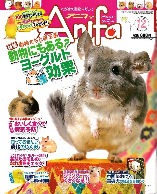【アニファ】2006年12月号/動物にもある?ヨーグルト効果/Anifa/小動物/うさぎ/ハムスター/フェレット