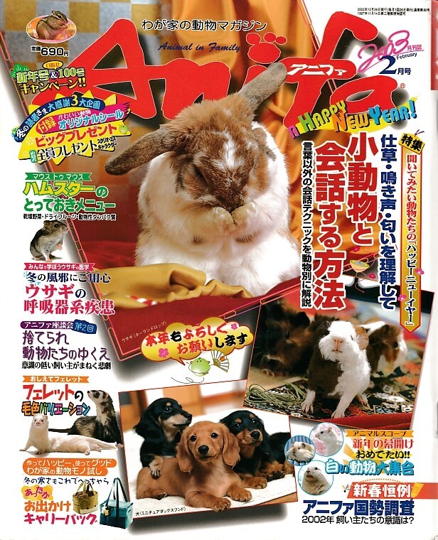 【アニファ】2003年02月号/仕草・鳴き声・匂いを理解して小動物と会話する方法/Anifa/小動物/うさぎ/ハムスター/フェレット