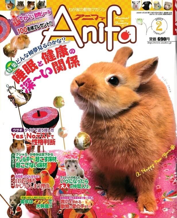【アニファ】2007年02月号/睡眠と健康の深い関係/Anifa/小動物/うさぎ/ハムスター/フェレット