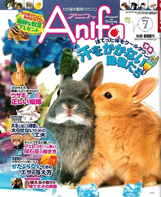 【アニファ】2007年07月号/汗をかかない動物たち、ほてった体をクールダウン/Anifa/小動物/うさぎ/ハムスター/フェレット