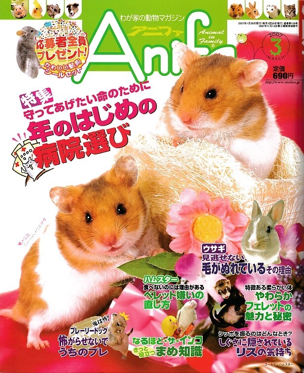 【アニファ】2007年03月号/よい動物病院の選び方/Anifa/小動物/うさぎ/ハムスター/フェレット