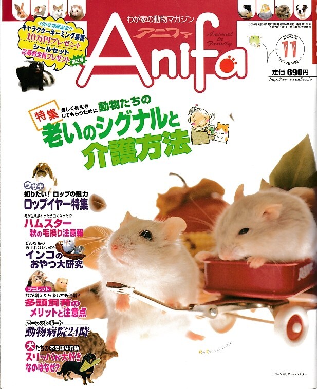 【アニファ】2004年11月号/老いのシグナルと介護方法/Anifa/小動物/うさぎ/ハムスター/フェレット