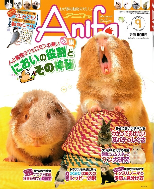 【アニファ】2007年09月号/においの役割とその神秘/Anifa/小動物/うさぎ/ハムスター/フェレット