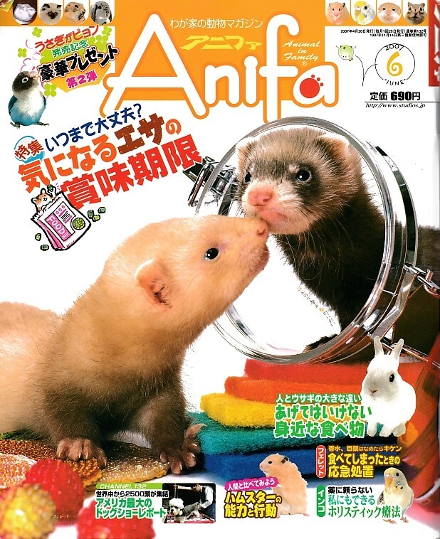 【アニファ】2007年06月号/いつまで大丈夫?気になるエサの賞味期限/Anifa/小動物/うさぎ/ハムスター/フェレット