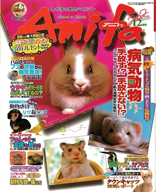 【アニファ】2002年12月号/病気動物、手放す?手放さない?/Anifa/小動物/うさぎ/ハムスター/フェレット