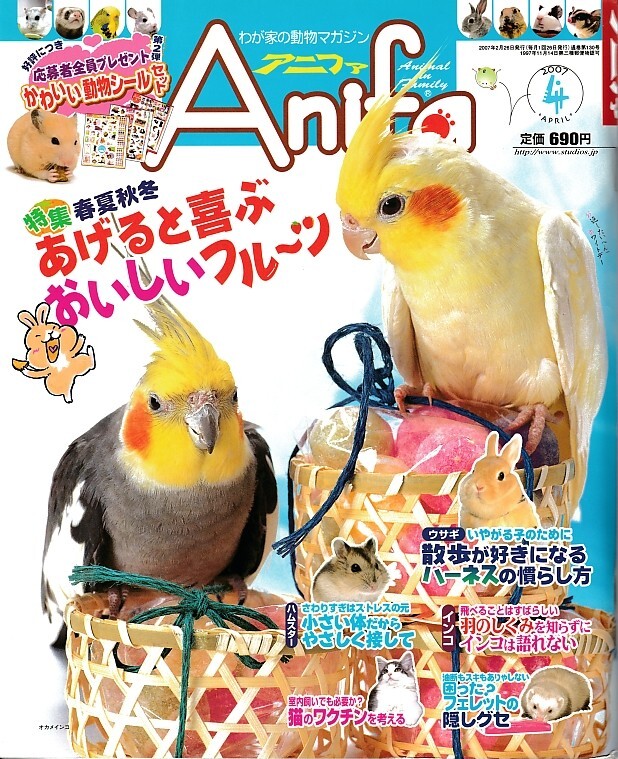 【アニファ】2007年04月号/あげると喜ぶおいしいフルーツ/Anifa/小動物/うさぎ/ハムスター/フェレット