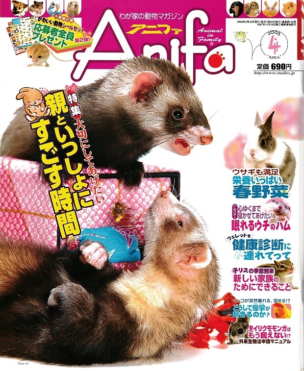 【アニファ】2006年04月号/大切にしてあげたい、親と一緒に過ごす時間/Anifa/小動物/うさぎ/ハムスター/フェレット