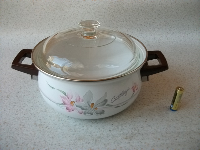 ＦＵＪＩ　ホーロー 琺瑯 両手なべ ２０ｃｍ 　２，９L 　ＩＨ、ガス　OK　鍋 　ガラス蓋　 昭和レトロ ビンテージ