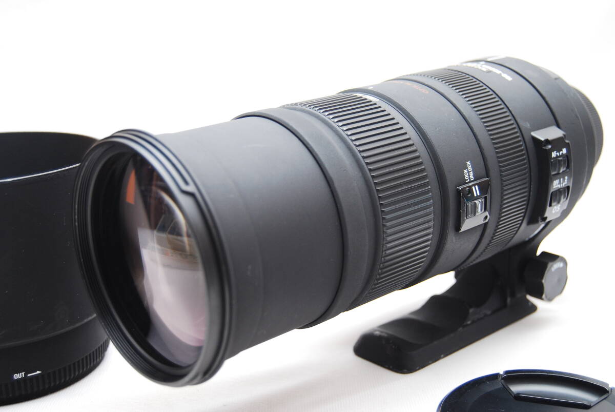 ★シグマ APO 150-500mm F5-6.3 DG OS HSM ニコン用　ＳＩＧＭＡ★