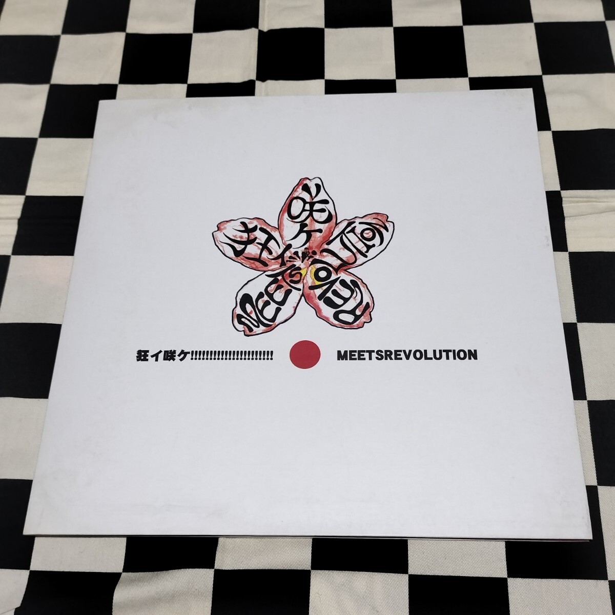 名古屋PUNK VA 限定 レコード Oi パンクTURTLEISLANDタートルアイランドSTRONG STYLEストロングスタイルQUA桔梗CAUSE BERYNECK ECHO TA-KEN