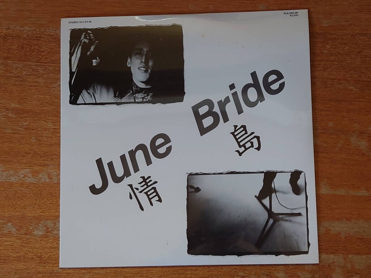 【即決】自主盤LP■情島勝「June Bride」未開封新品/1988年/PLS-365-NP/日本コロムビア委託製作