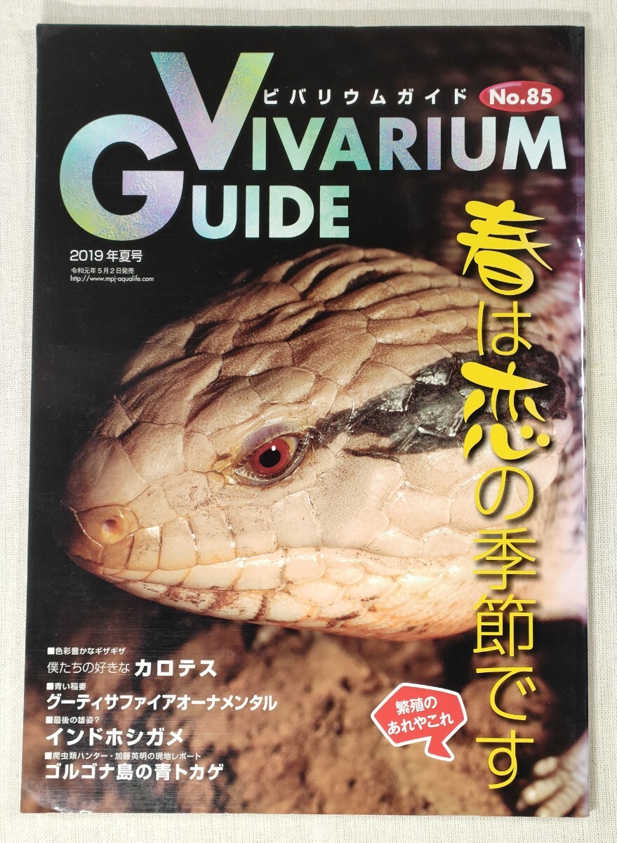 ビバリウムガイド／VIVARIUM GUIDE　No.85　2019年夏号　春は恋の季節です・繁殖のあれやこれや