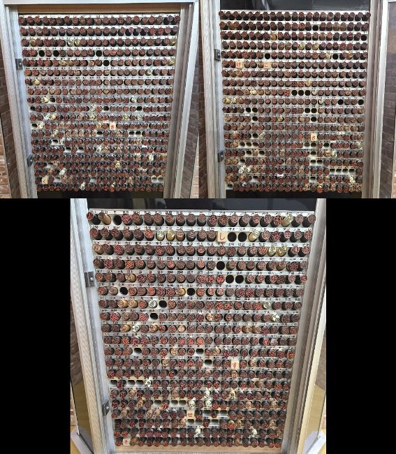 {$data['title']拍卖