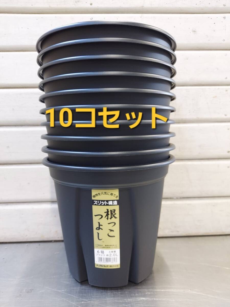 送料無料★セットでお買い得！ 植物の生育環境を整えるスリット構造！アップルウエアー　根っこつよし　６号　１０Ｐ
