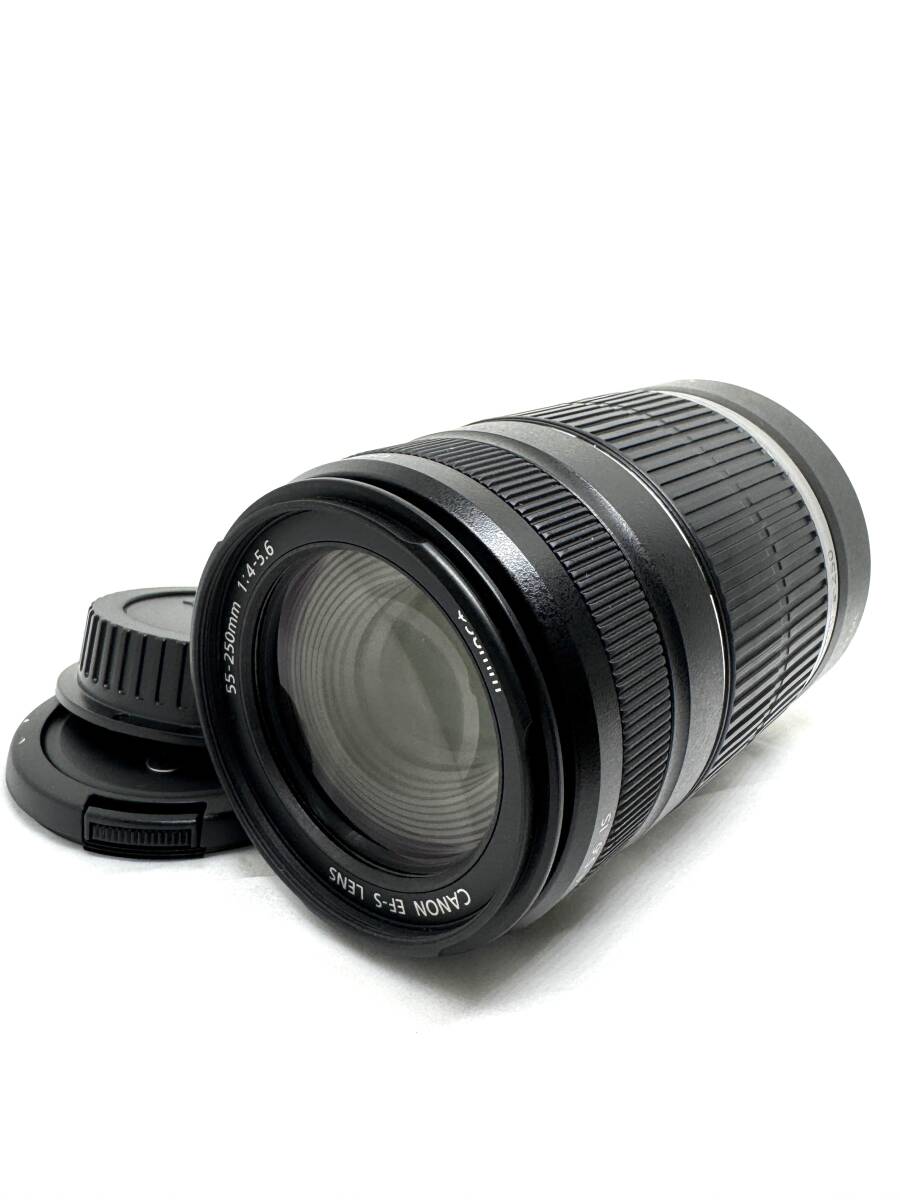 ★良品★Canon キヤノン EF-S 55-250mm F4-5.6 IS　#254