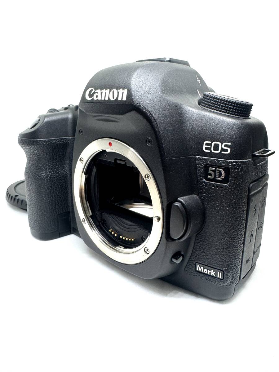 ★極上品★Canon キャノン EOS 5D Mark II ボディ★　#313