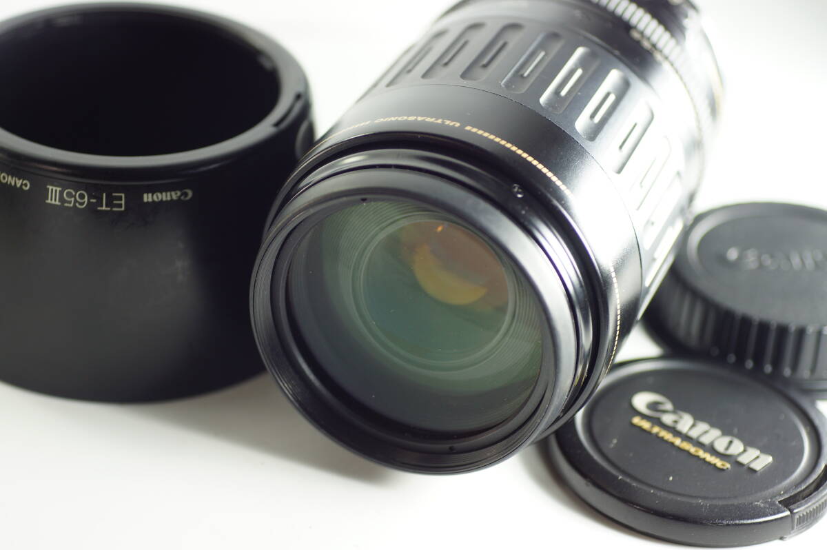 PH-017 とてもキレイ 望遠レンズ CANON EF100-300mm F5.6 キヤノン キャノン EFマウント