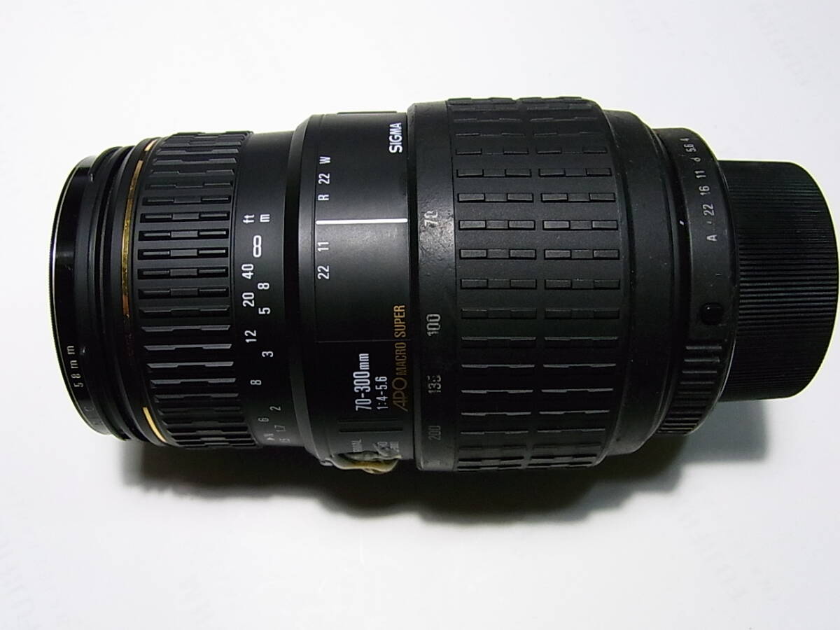 SIGMA 70-300mm F4-5.6 APO MACRO SUPER ペンタックス用　マクロ制限解除　実用品　フィルター付　訳あり