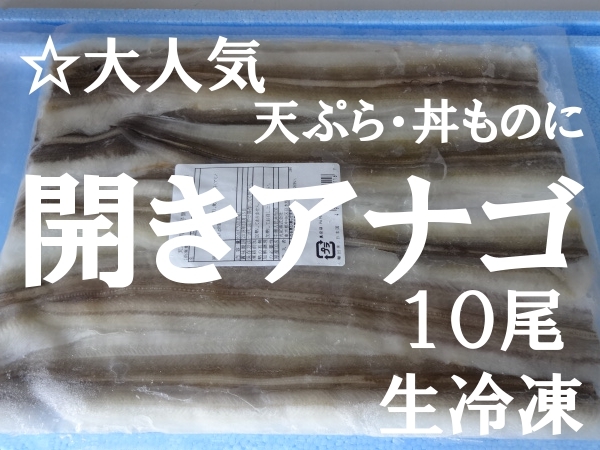 ☆天ぷら/丼ものなどに*　骨切　開きアナゴ　　６０ｇ×１０尾　　生冷凍