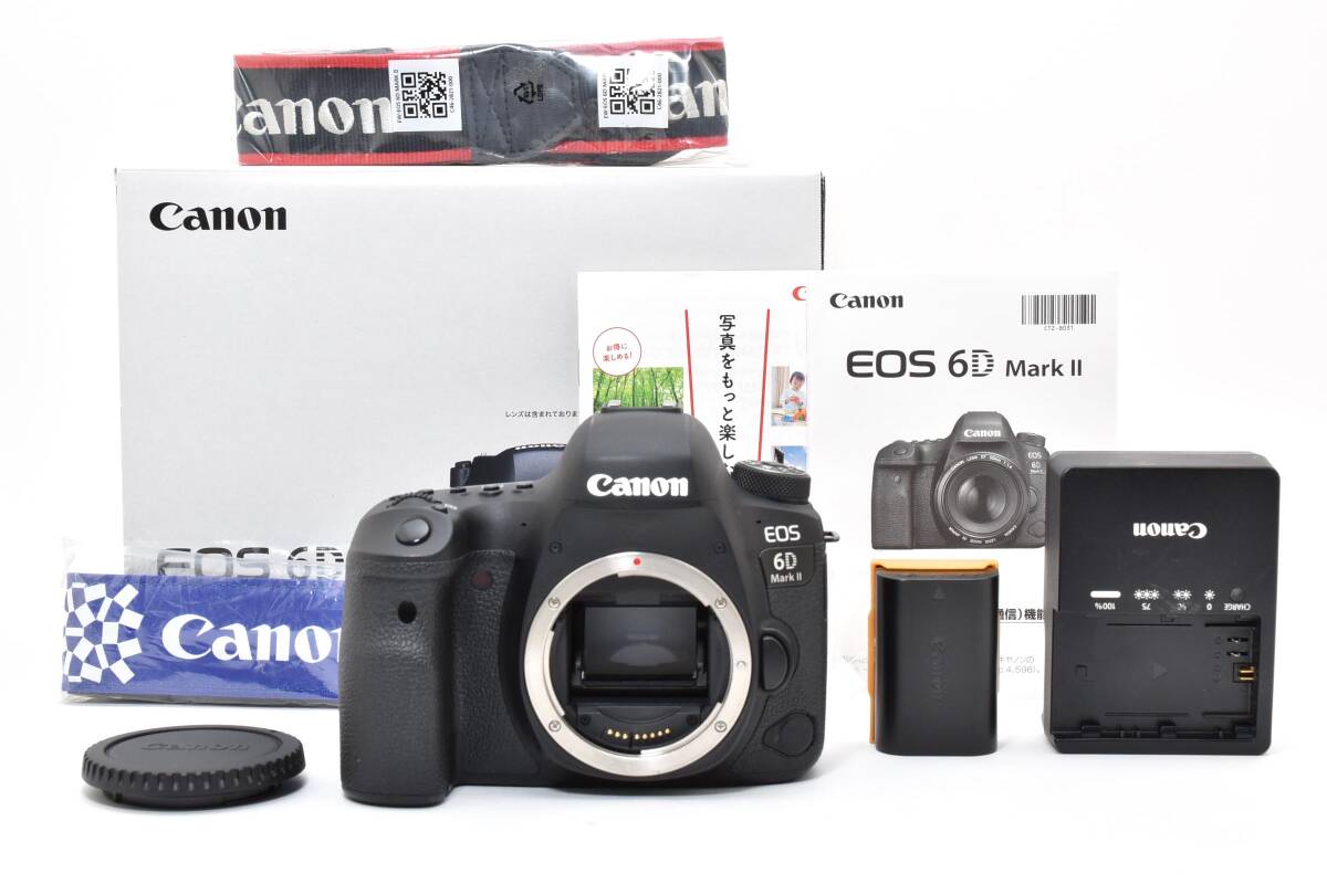 【超美品】キャノン Canon EOS 6D Mark II #222