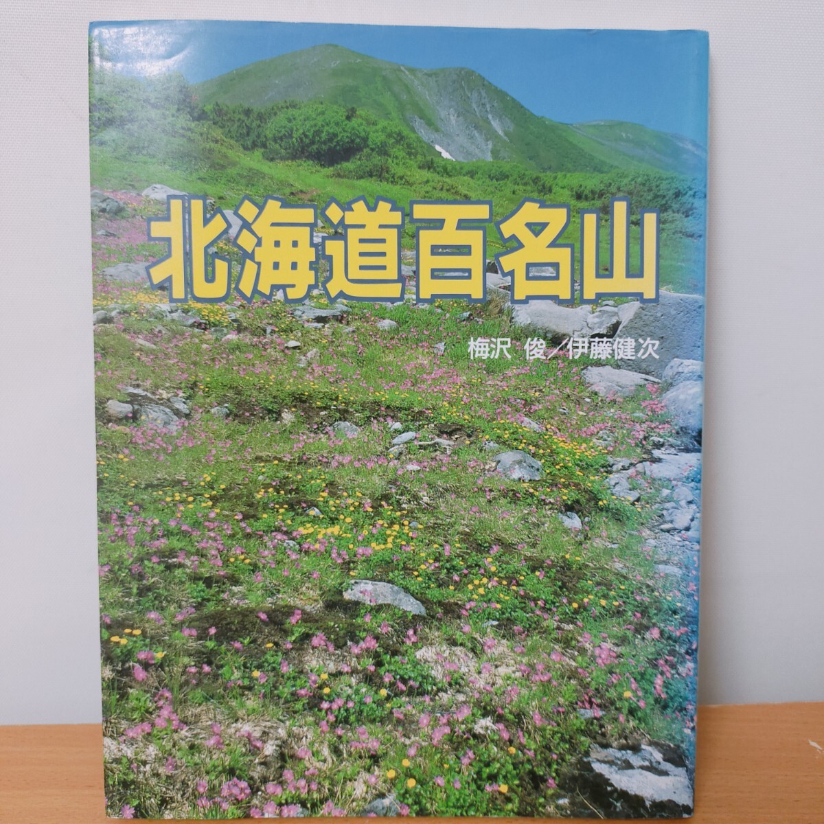 ★古本★　北海道百名山　梅沢俊/伊藤健次　山と渓谷社　1993年発行　初版