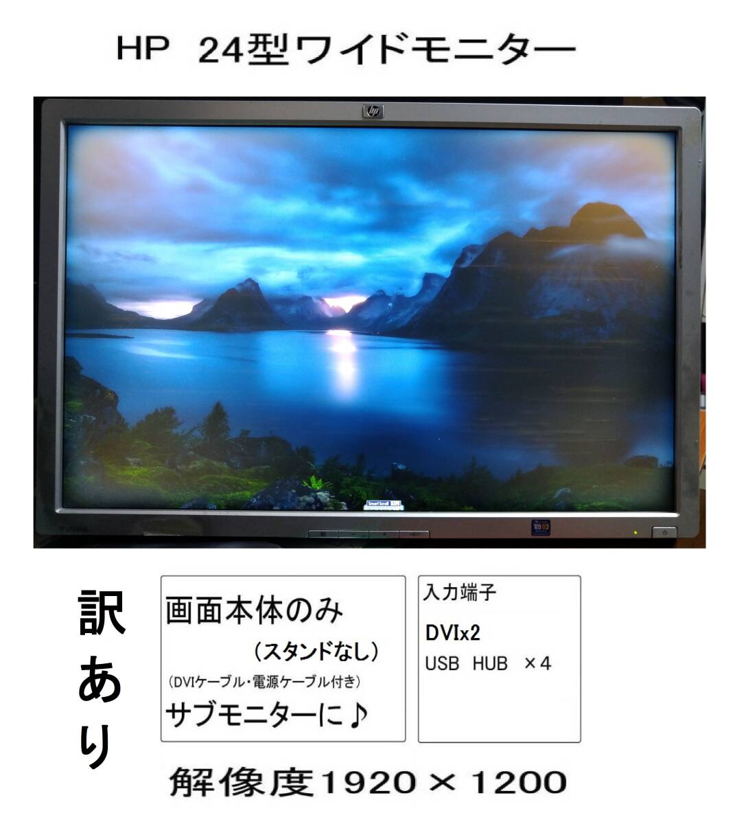 画面のみ24型1200ワイドLP2465映像DVI-Iディスプレイモニター1920液晶モニタ24インチWIDE非光沢WUXGAデジタルHP大画面DVIダブルUSB解像度2