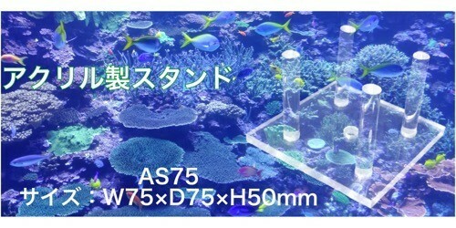 A-AS75*（W75×D75×H50ｍｍ）アクリル製スタンド ライブロックスタンド 水槽用 ライブロック用 サンゴ 流木 サンゴ台 珊瑚台