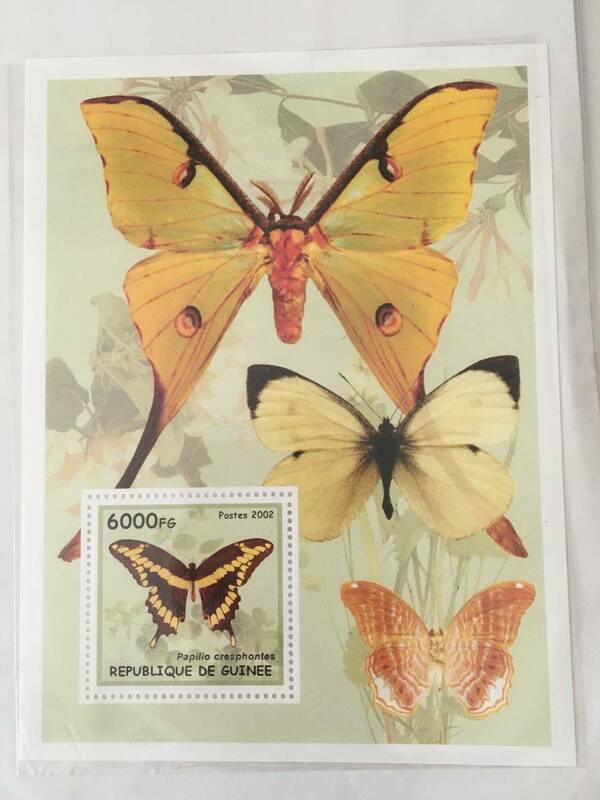 切手：昆虫・蝶／ギニア＊２００２年＊シート