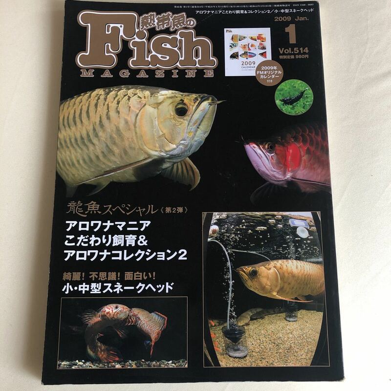 古本/FISH MAGAZINE/514 龍魚スペシャル