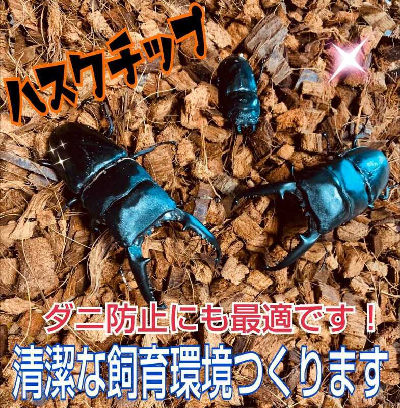 カブトムシ・クワガタの成虫管理にハスクチップ 5リットル袋☆厳選した良質な天然素材100％ 通気・消臭・保水性に優れダニ防止に抜群です！