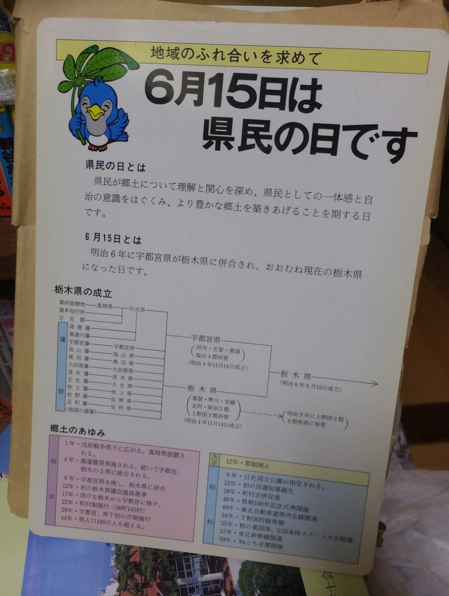 栃木県のことがひと目でわかる下じき　　　　　　　　　栃木県　（下じきのみです。手書き袋は付きません。）