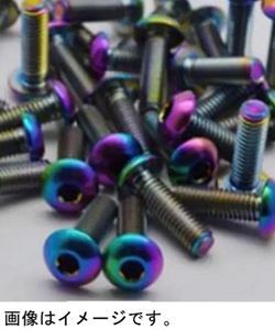 チタンレインボーボタンビスM3×6mm（5本入） RP-0236 RCパーツ RCパーツ