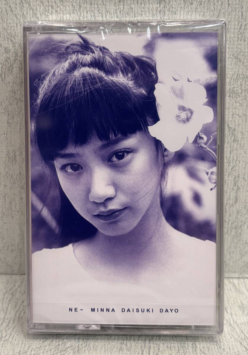 送料無料◇新品 NEW CASSETTE TAPE◇銀杏BOYZ/ねえみんな大好きだよ SKOOL-066/カセットテープ 峯田和伸 GOING STEADY PUNK
