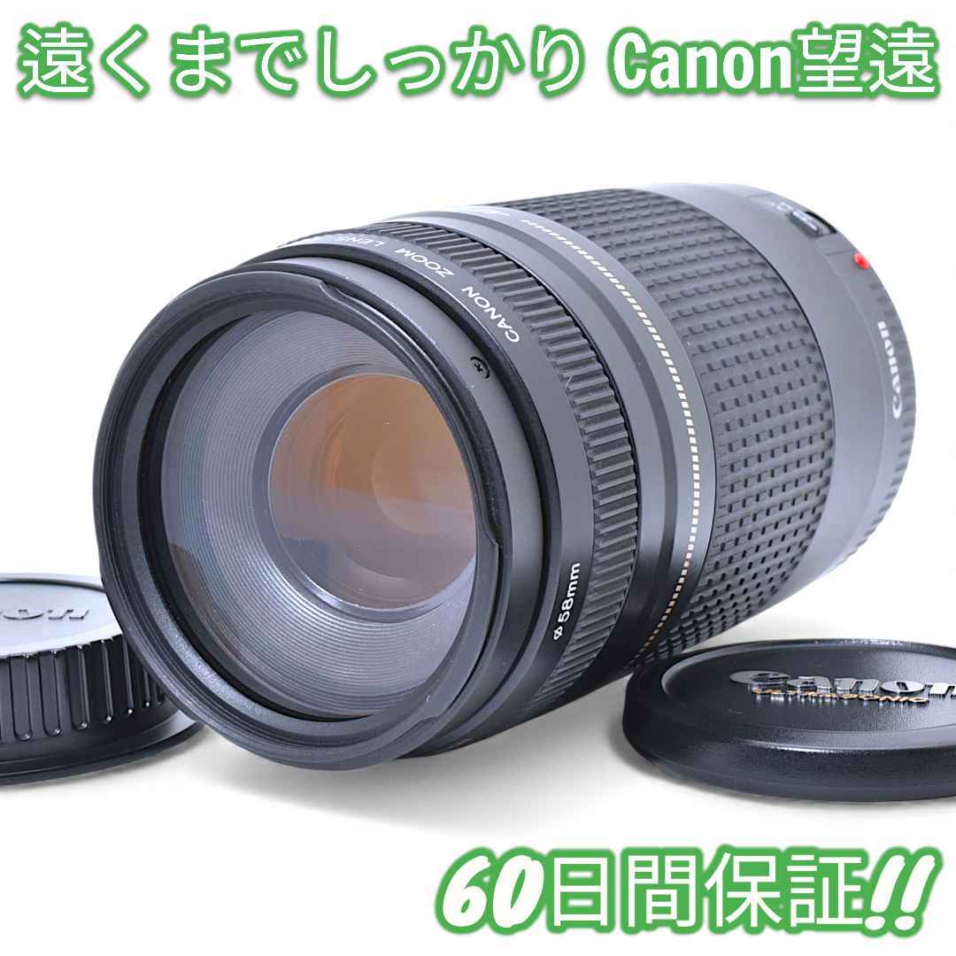Canon EF 75-300mm F4-5.6 II USM #9619